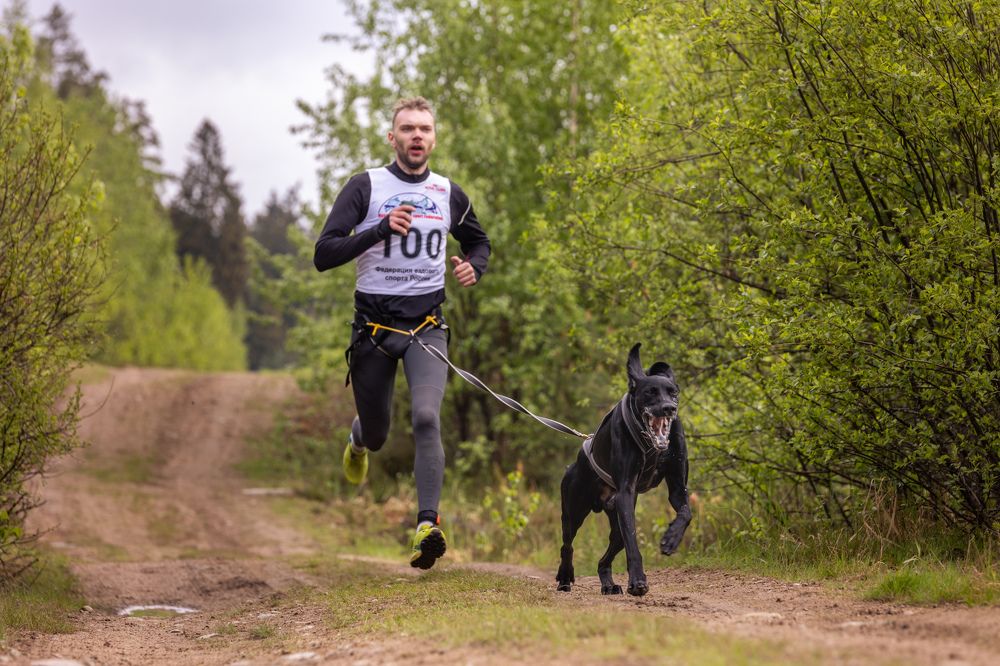 Photograph by Илья Юфа