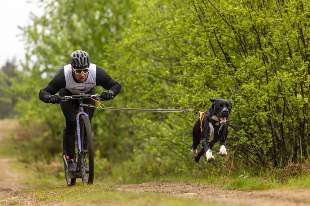 Photograph by Илья Юфа