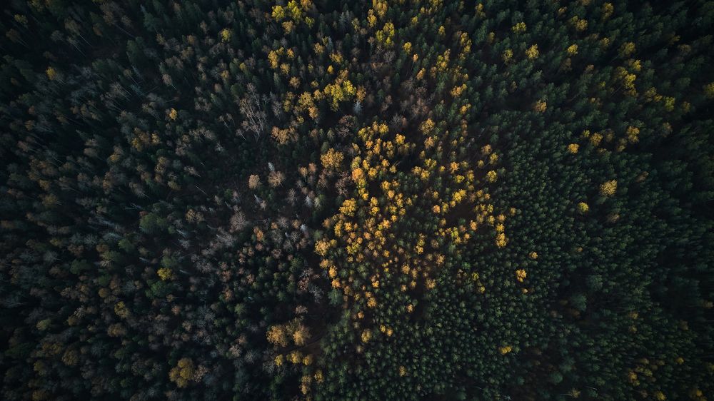 Photograph by Korovkin Anatoliy