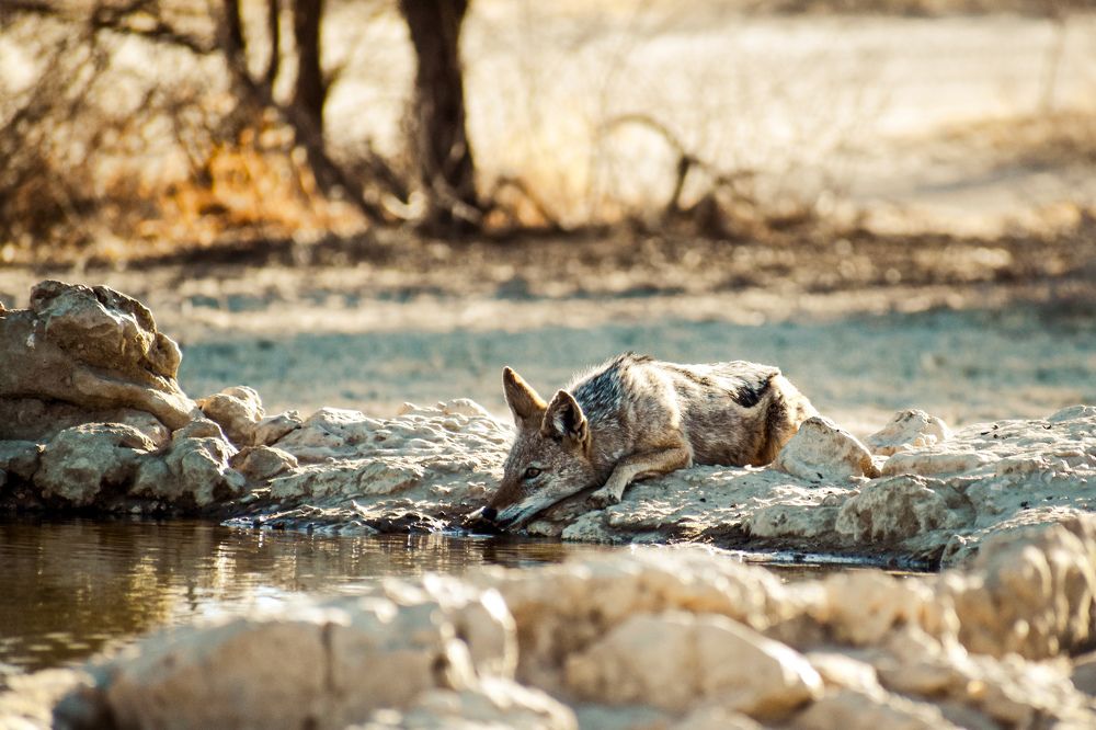Photograph by Jaynie Nieuwoudt