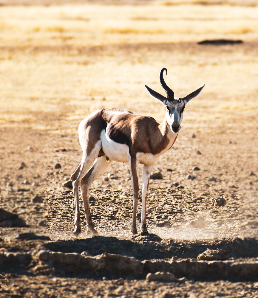 Photograph by Jaynie Nieuwoudt