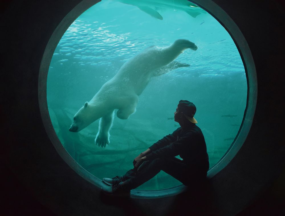 Photograph by Jonathan Espinosa