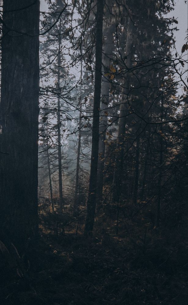 Photograph by Elena Kilina