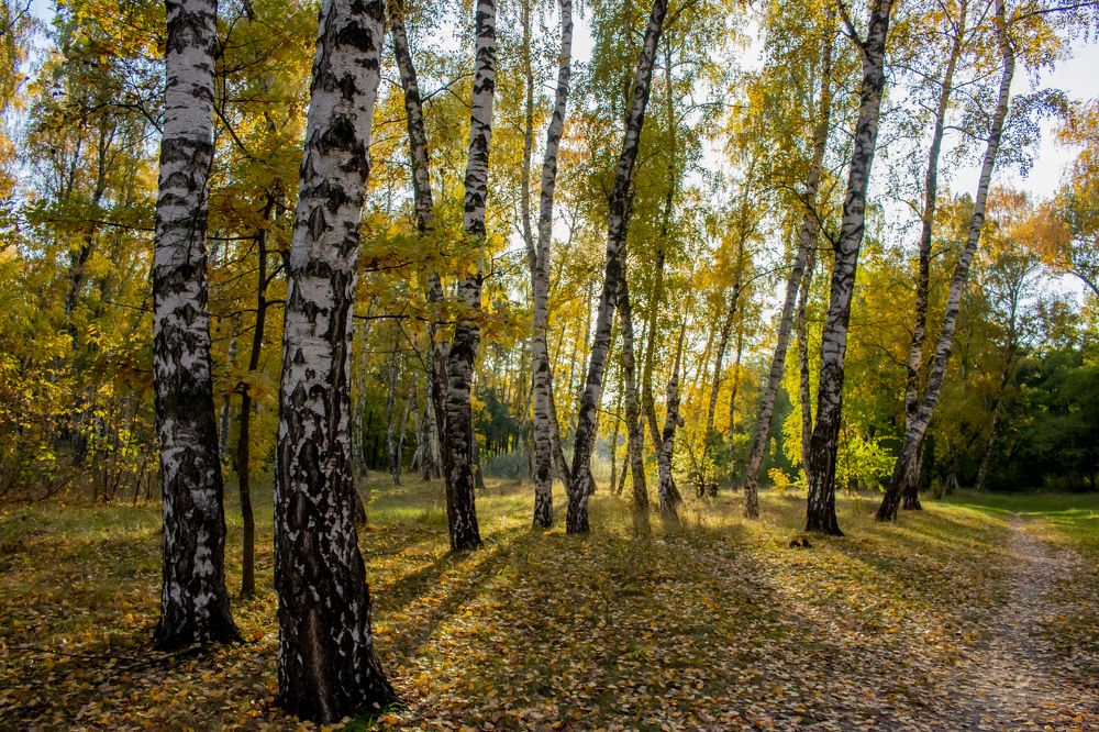 Photograph by Геннадій Андросов