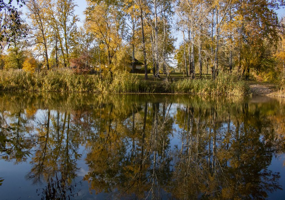 Photograph by Геннадій Андросов