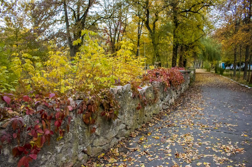 Photograph by Геннадій Андросов