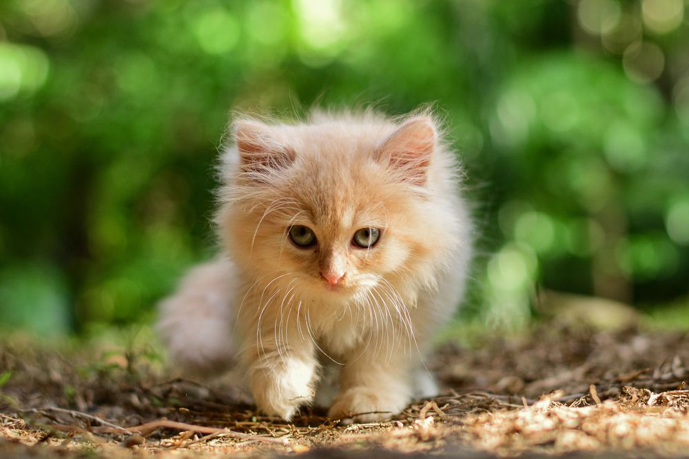 Photograph by Yazir Zubair