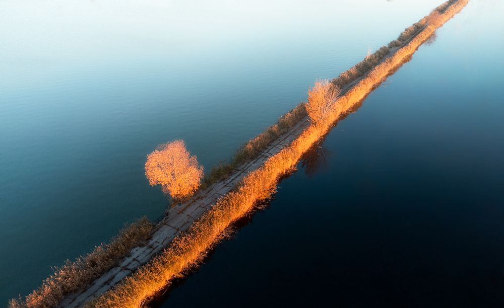 Photograph by Сергей Шиллинг