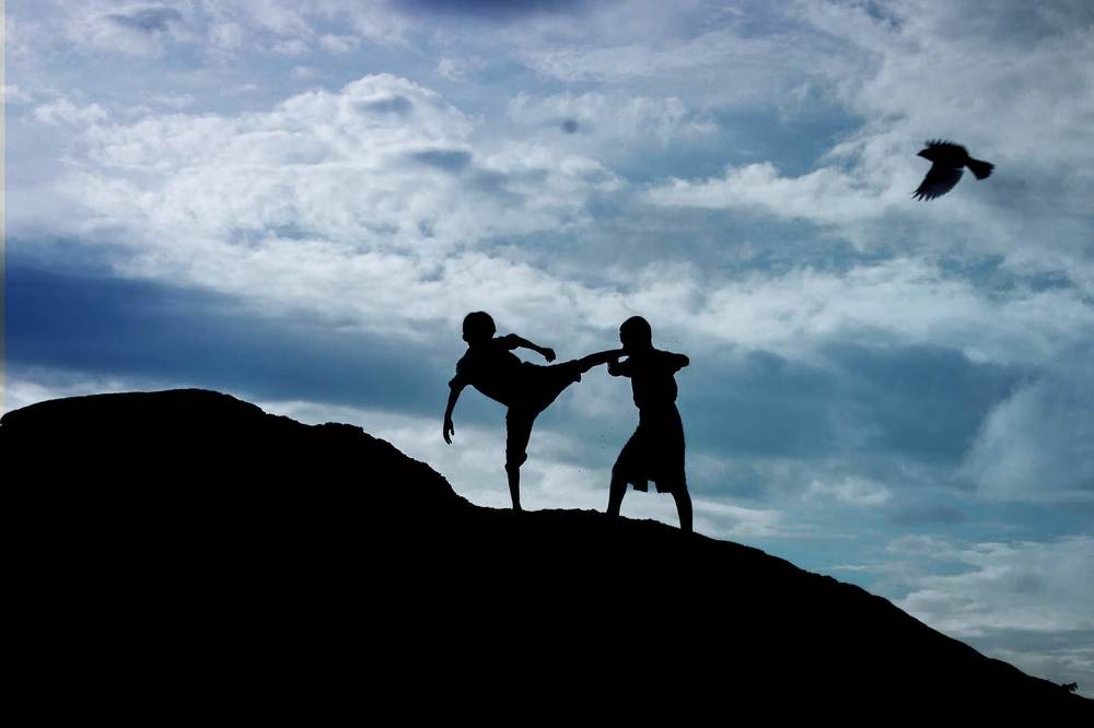 Myanmar Martial Arts