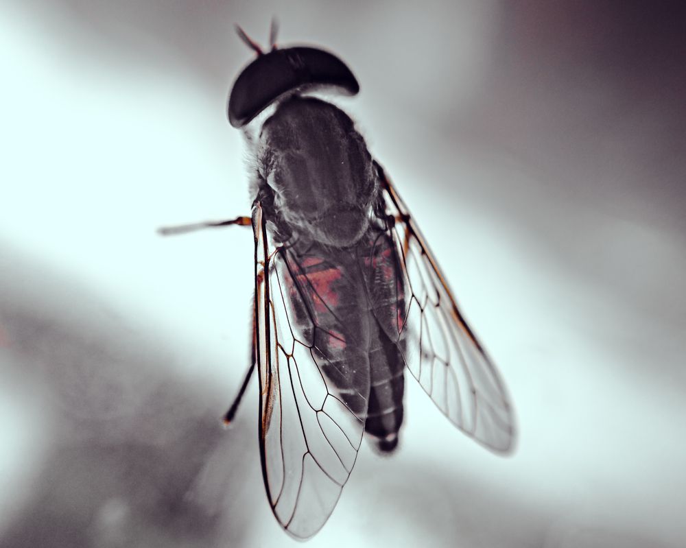 Photograph by Vikraman Velusamy