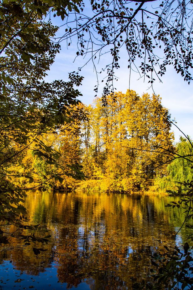 Photograph by Татьяна Глухова
