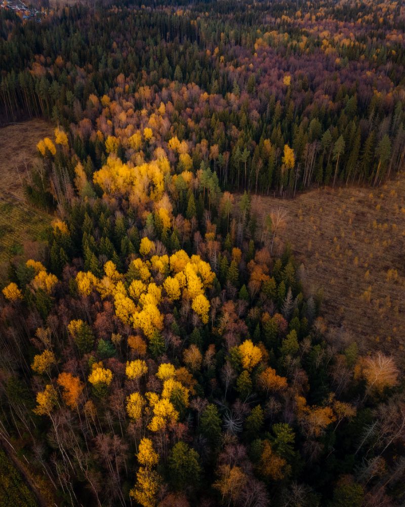 Photograph by Наталья Лабодина