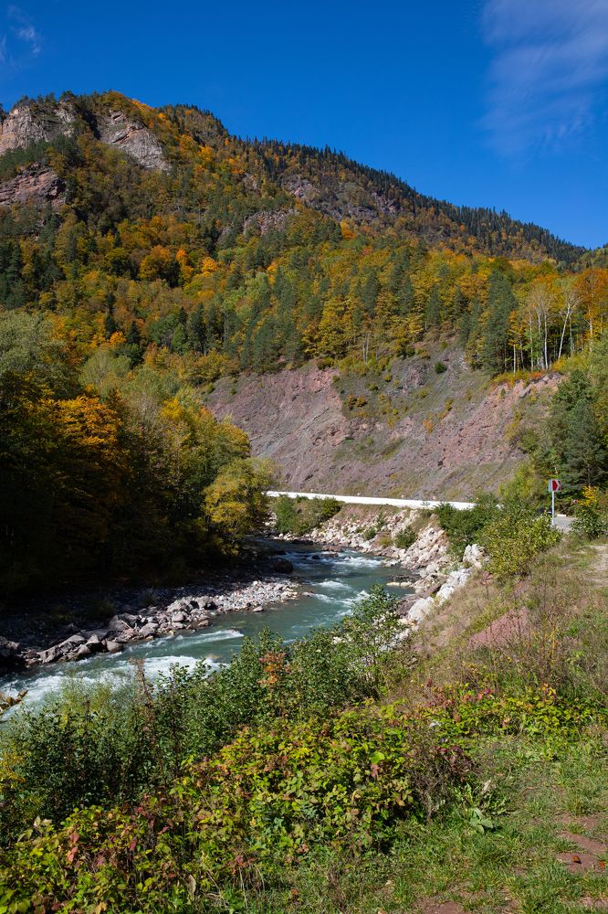 Photograph by Оксана Тонкошкурая