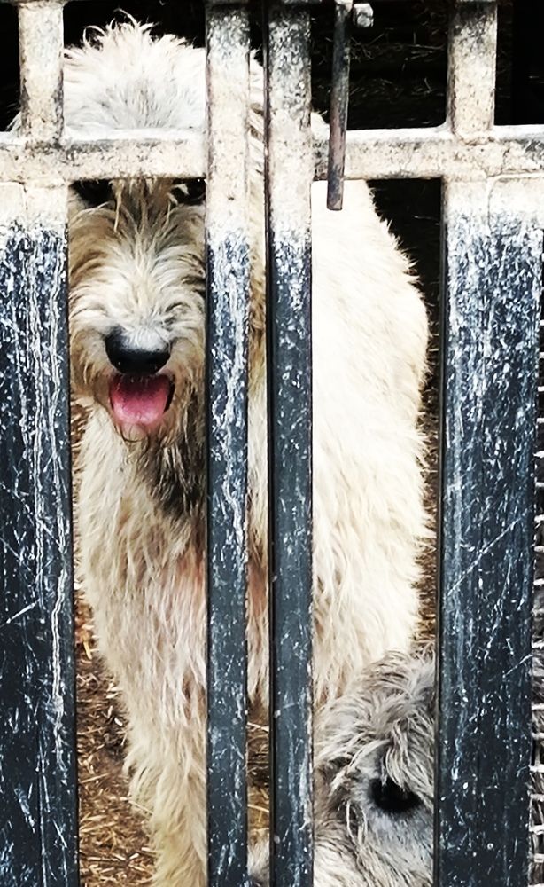 Photograph by Илона