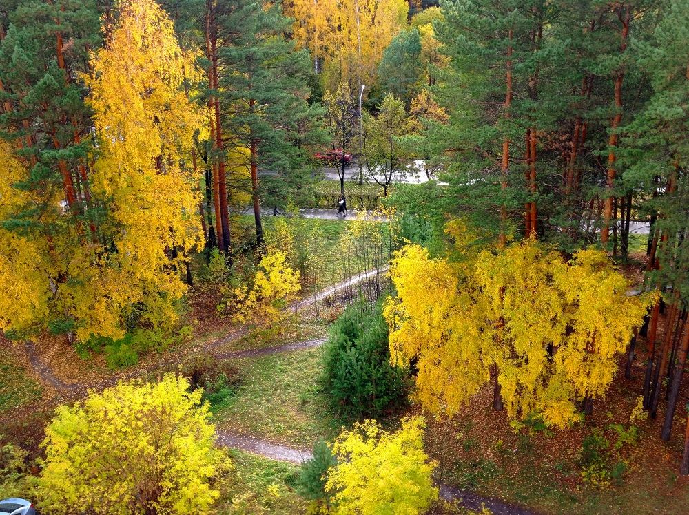 Photograph by НИНА АВЕРЬЯНОВА