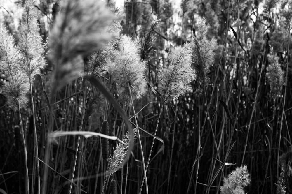 Photograph by Damir Aibasov