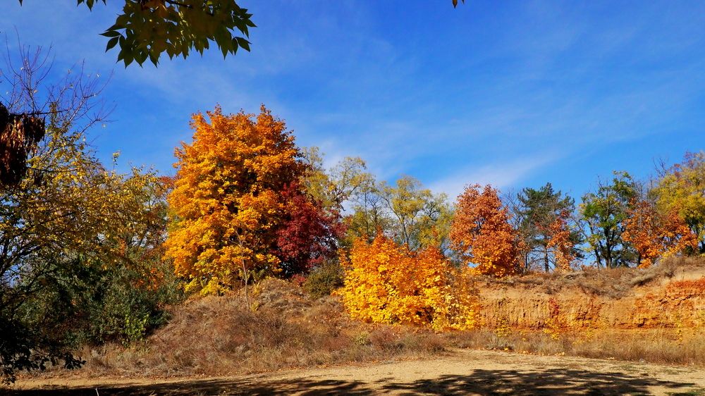 Photograph by Александр Петренко