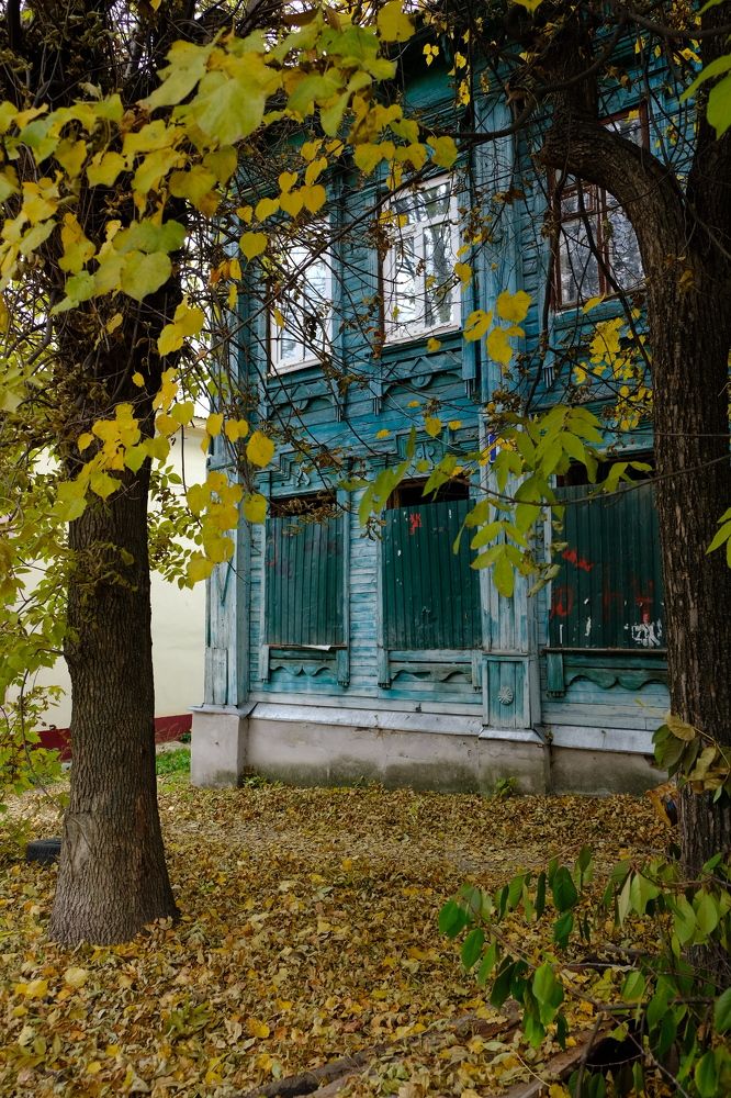 Старый дом Владимира
