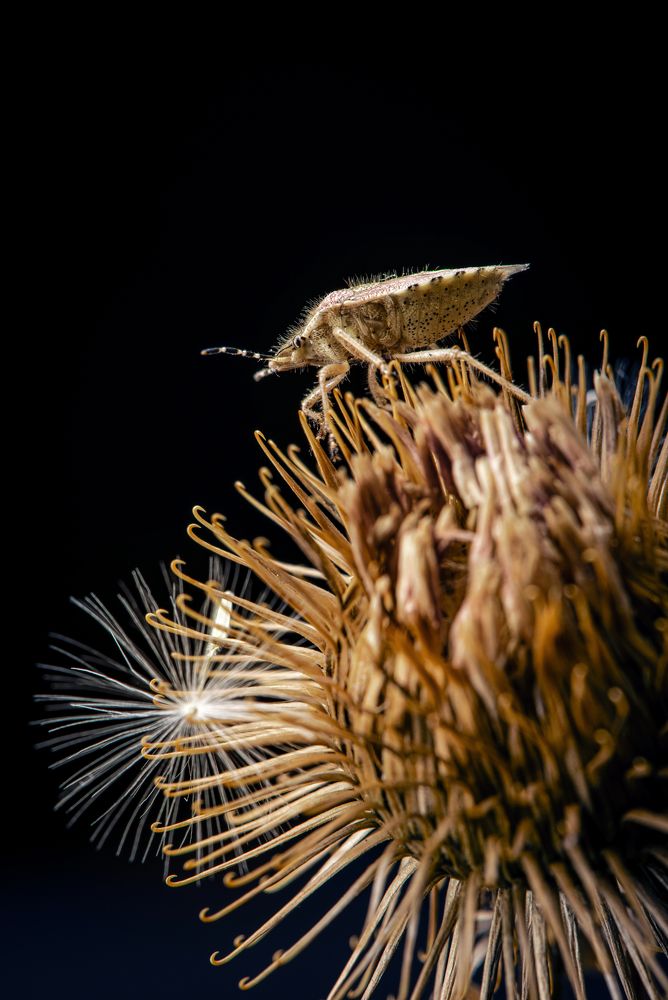 Photograph by Евгений Корнев