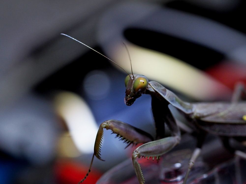 Photograph by Александр Петренко