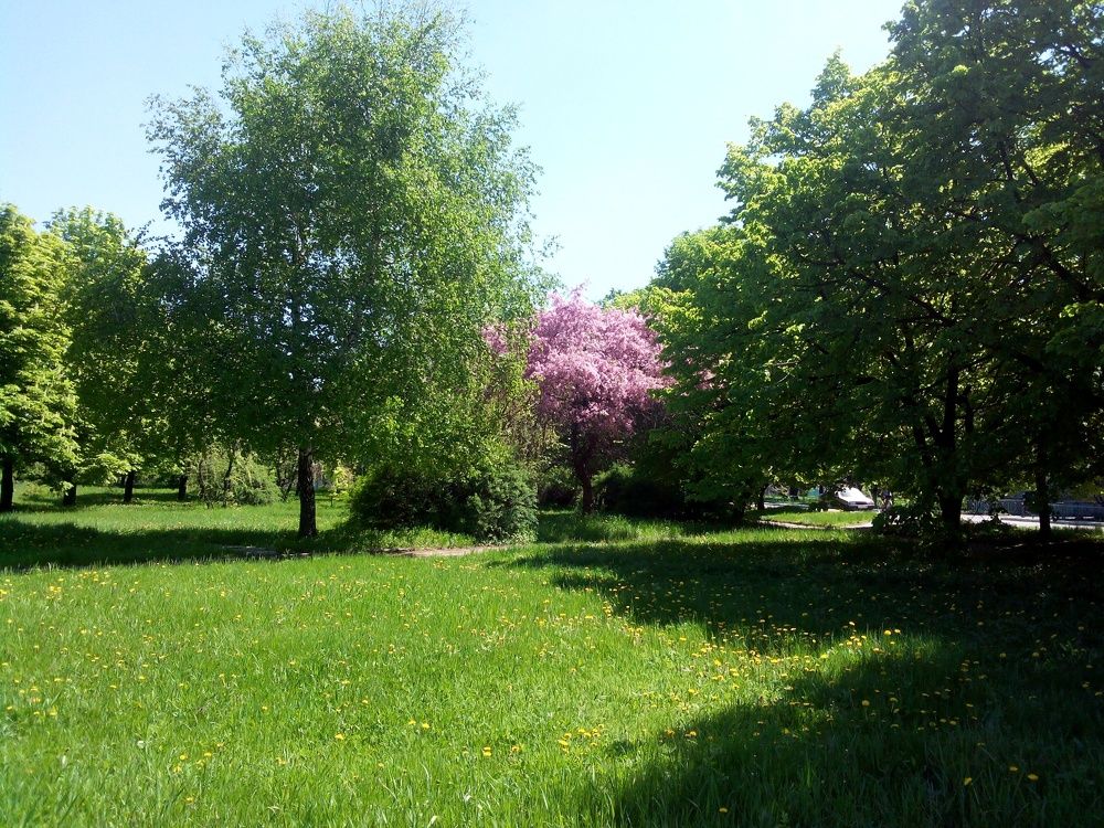 Photograph by Яна Сиволобова