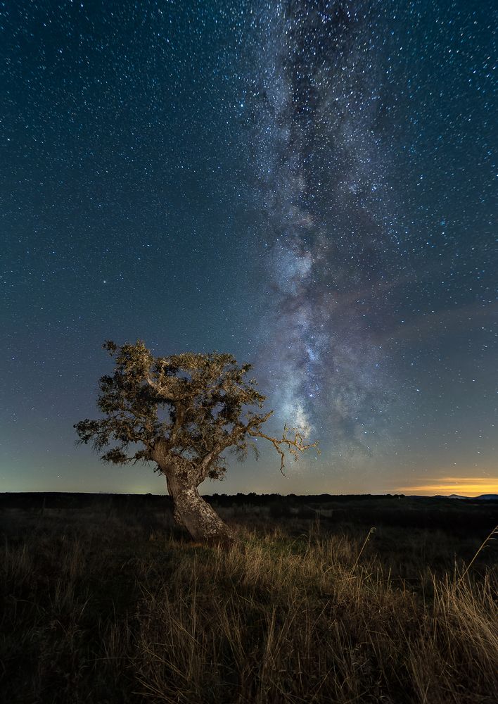 Photograph by Luis Miguel Rivas