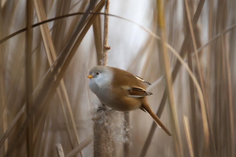 Photograph by Василий Дудин