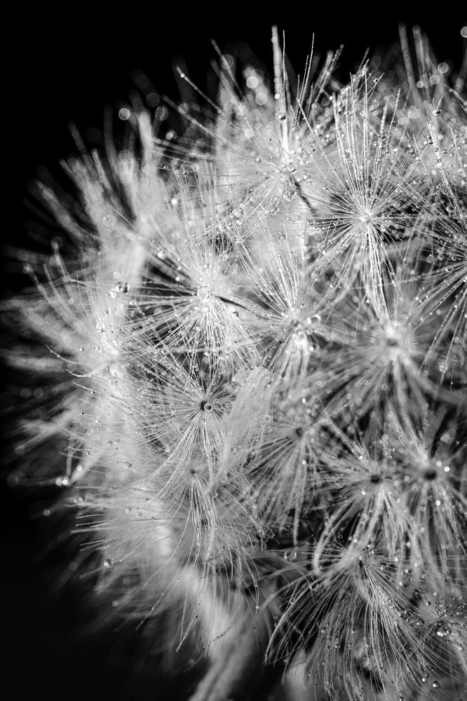 Photograph by Евгений Корнев