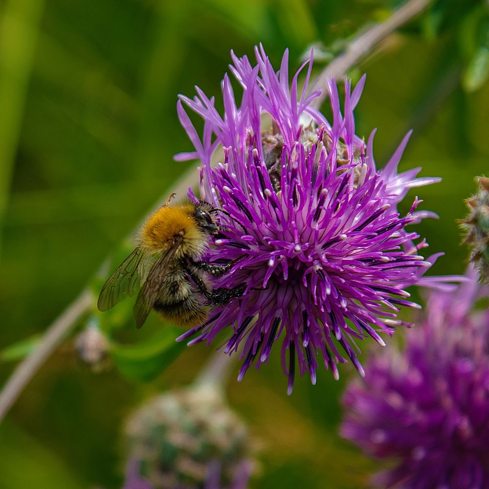 Photograph by Людмила