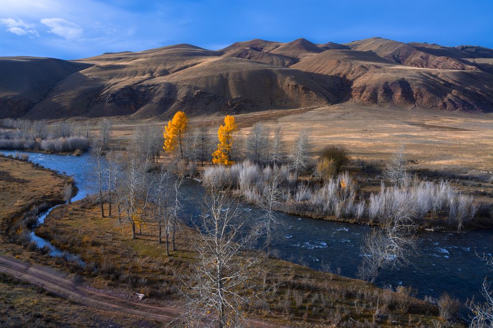 Как две свечи