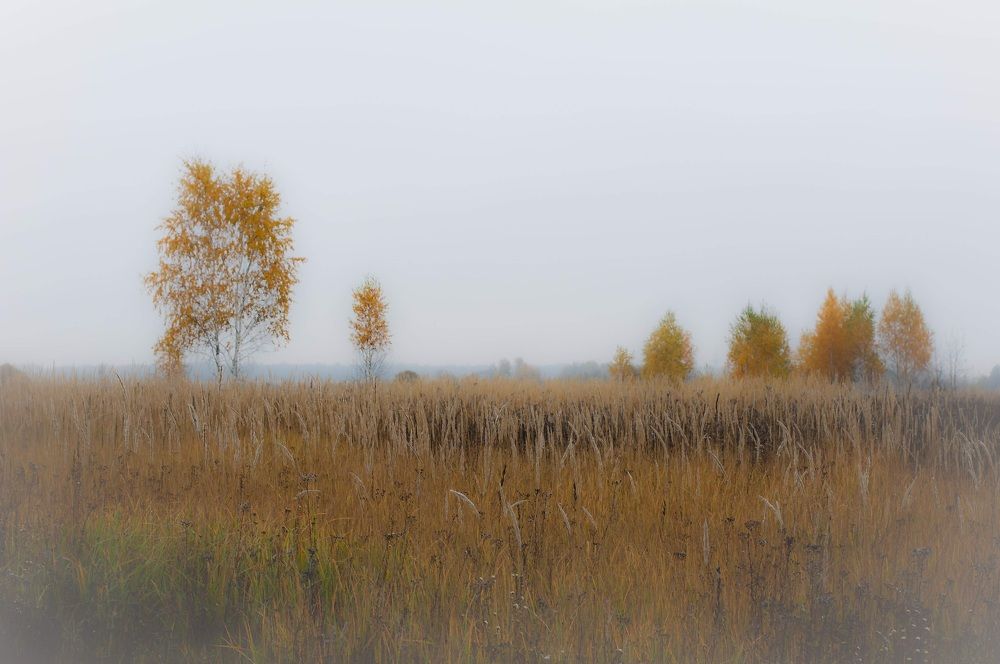 Photograph by Дмитрий Жуков