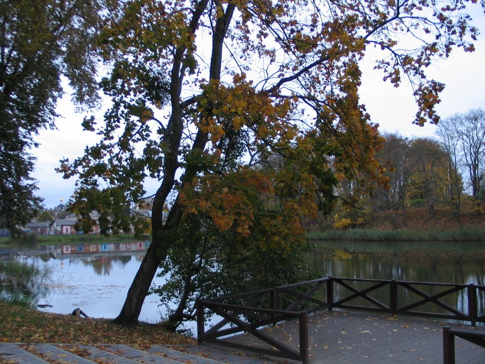 Photo #6611031