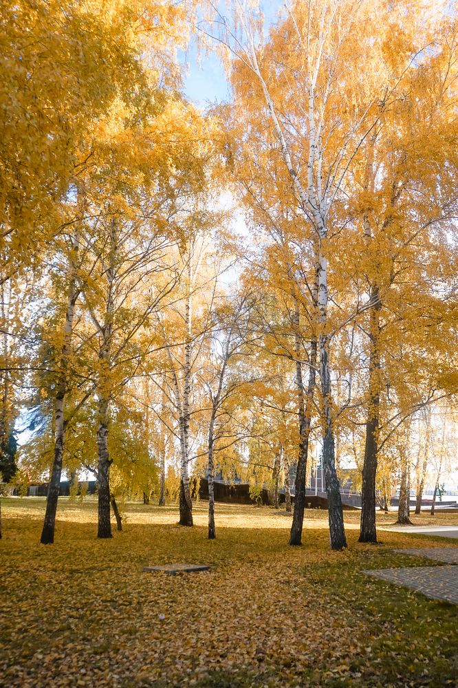 Photograph by Юрий Топчиян