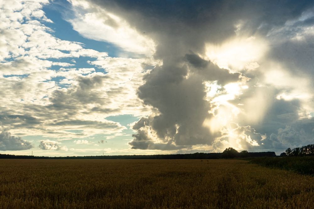 Photograph by Юрий Топчиян