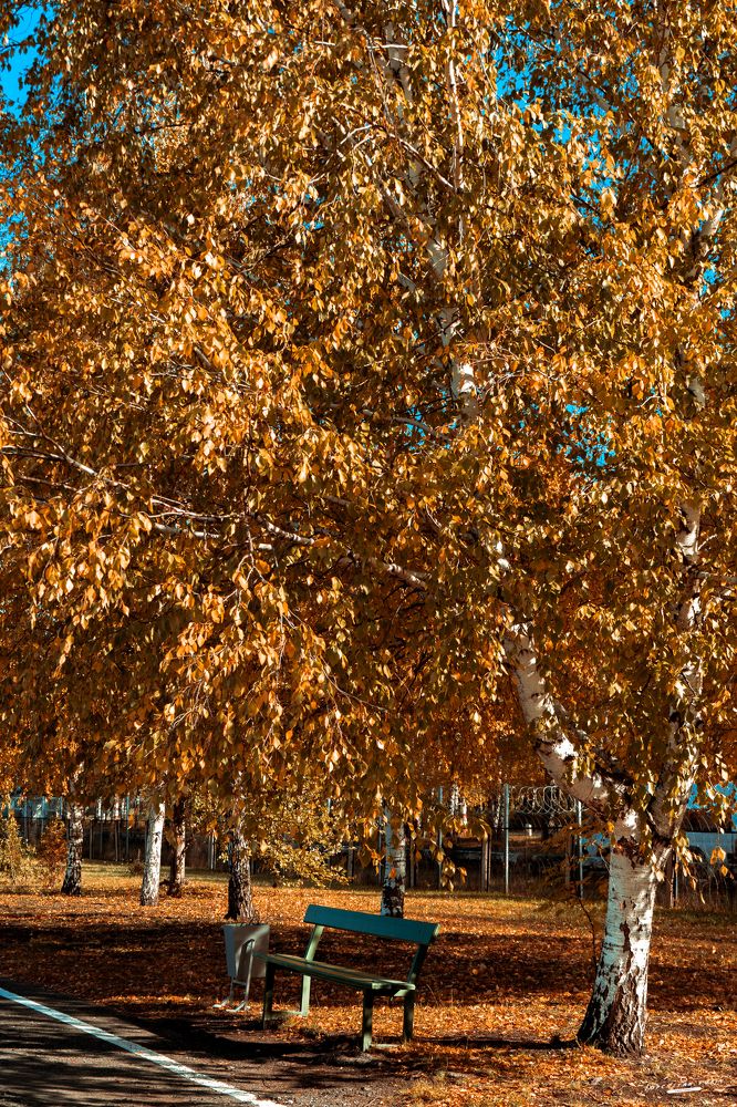 Photograph by Юрий Топчиян