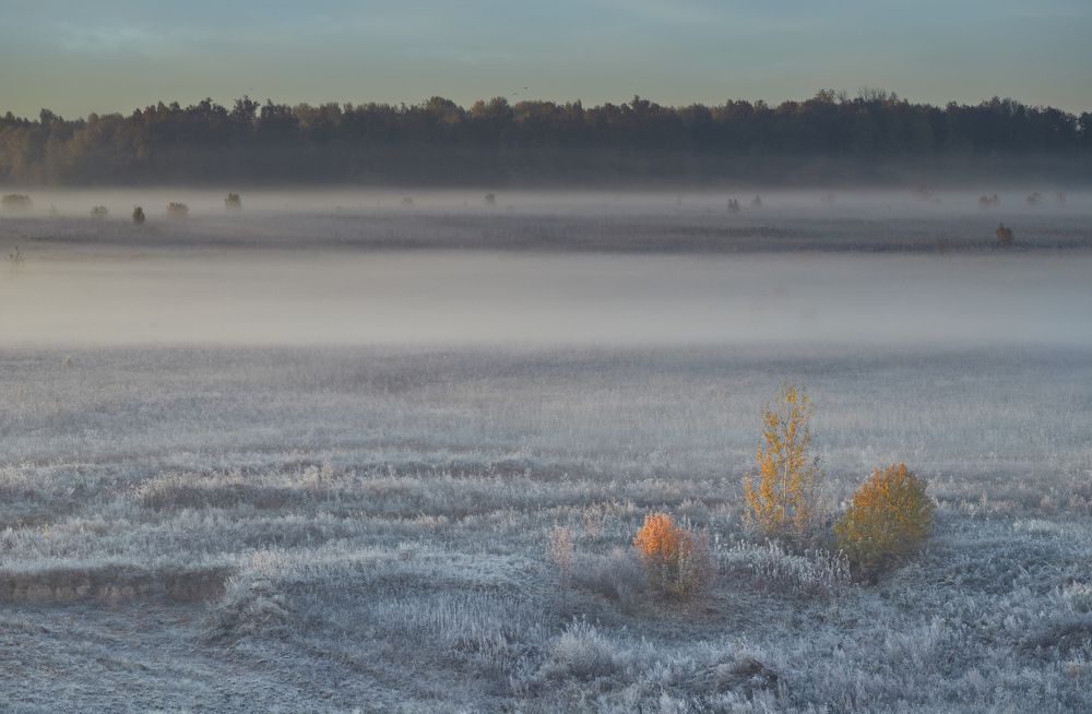 Photograph by Владимир Васенев