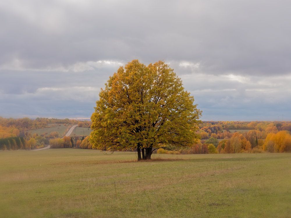 Photograph by Алексей Львов