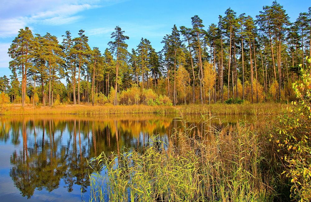 Photograph by Виталий Симоненков