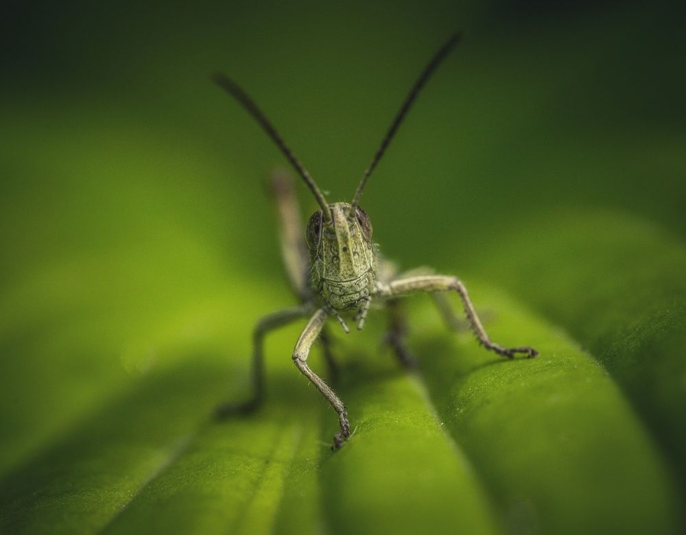 Photograph by Leanid Kulpo