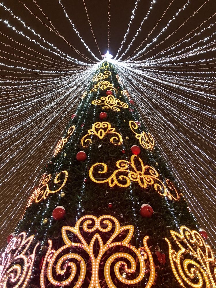 Photograph by Anna Gapanovich