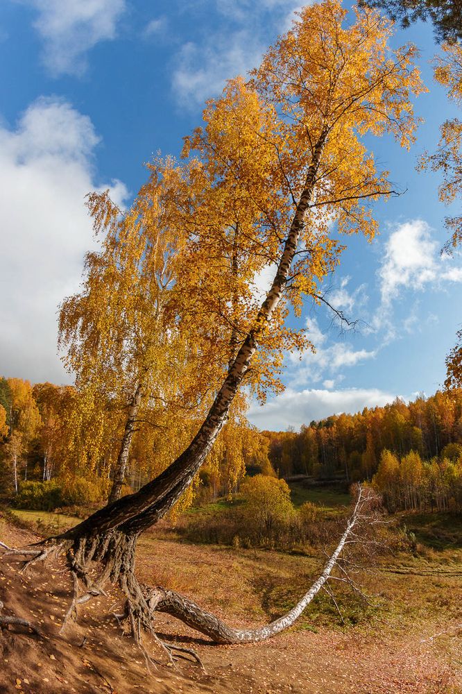 Photograph by Денис Григорьев