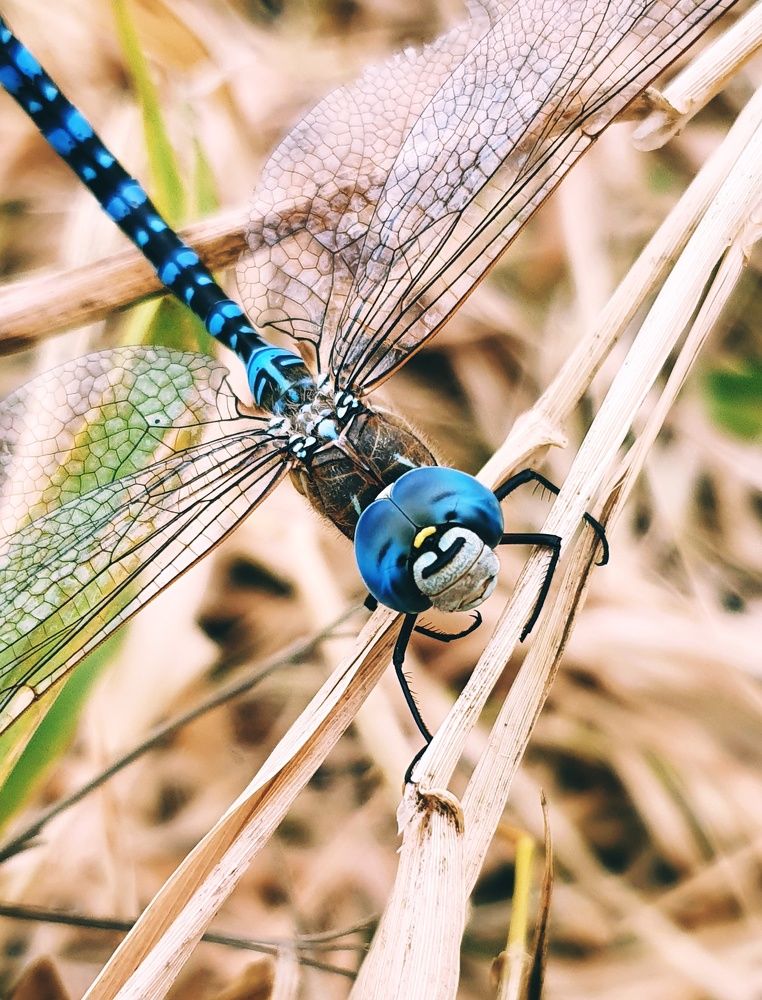 Photograph by Ольга Мандрыкина