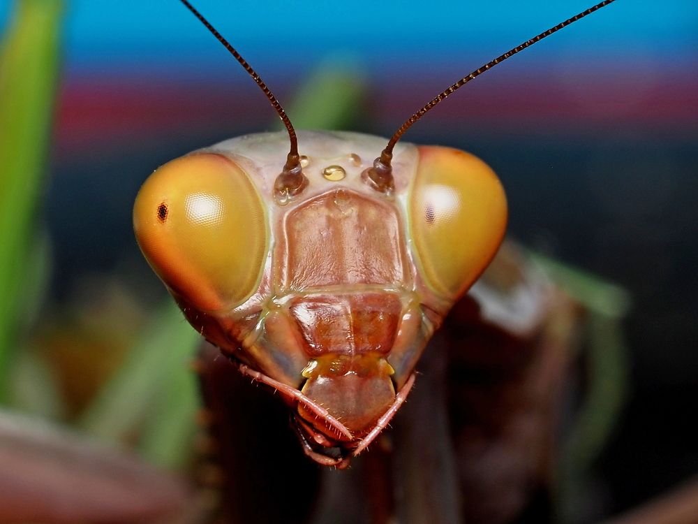 Photograph by Александр Петренко