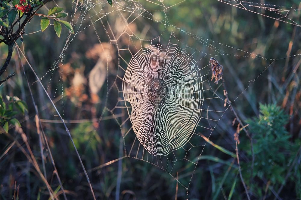 Photograph by Екатерина Карелина