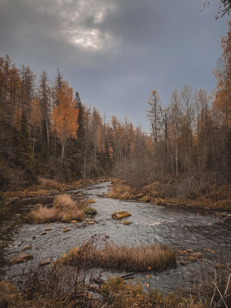 Photograph by Екатерина Николаева