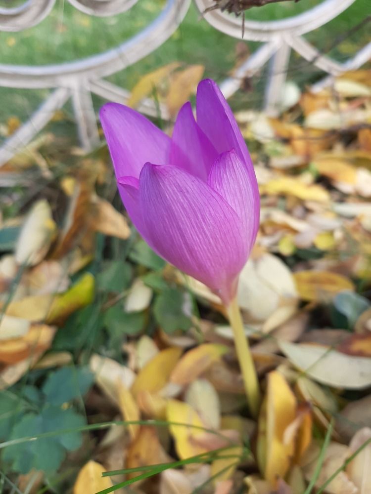 Photograph by Наталия