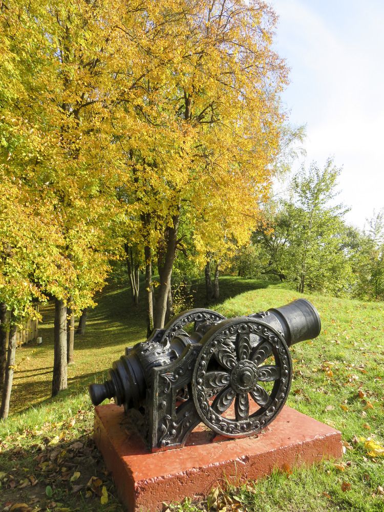 Cannon in the city autumn park