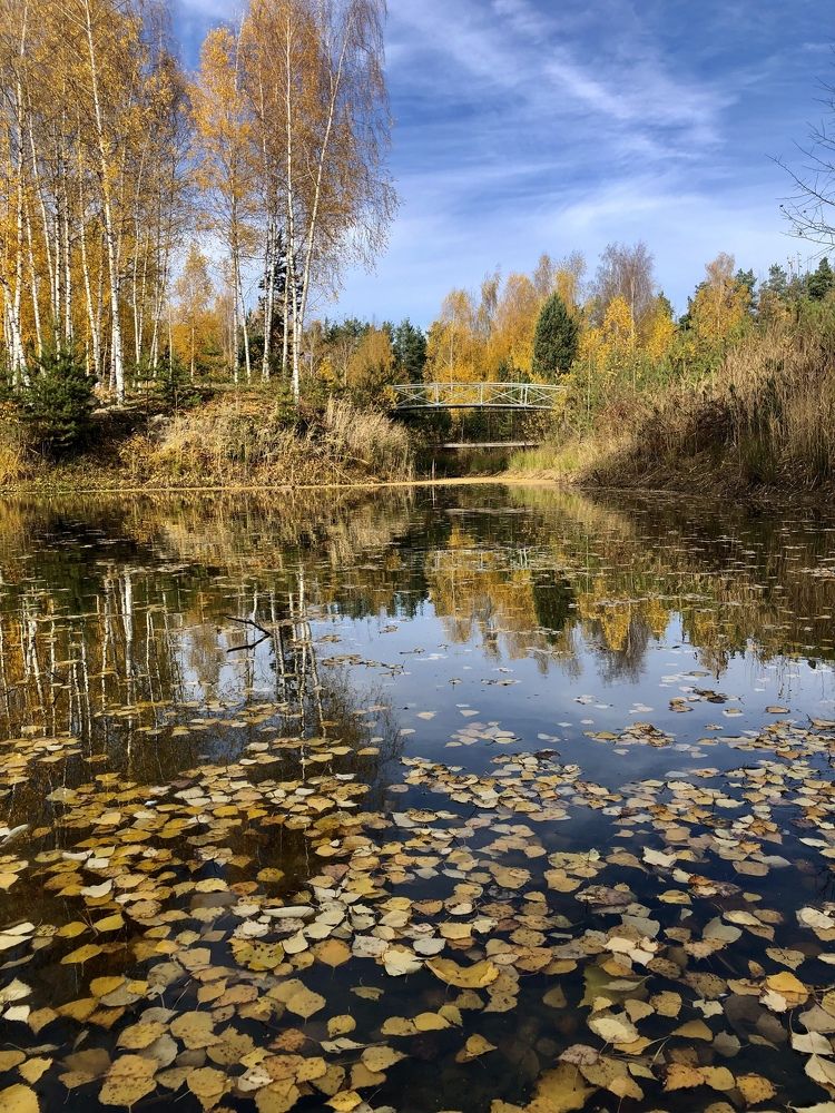 Photograph by Шестакова Наталья