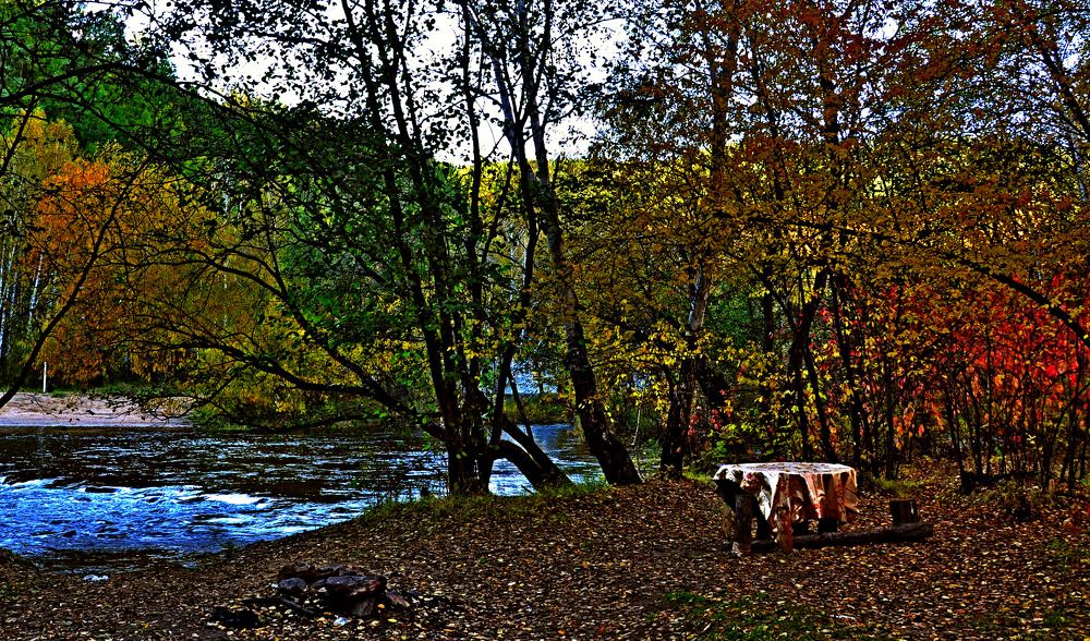 Осенний пикник.