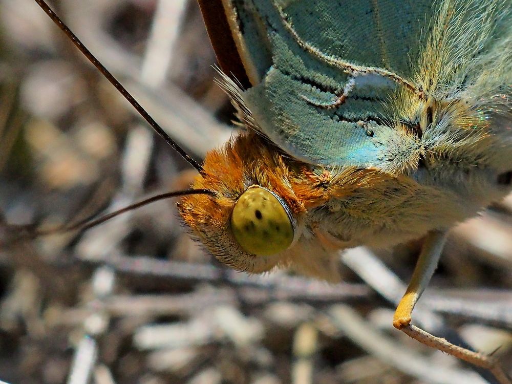 Photograph by Александр Петренко